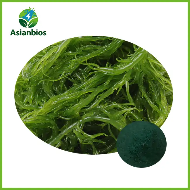 Algae Powder Bulk